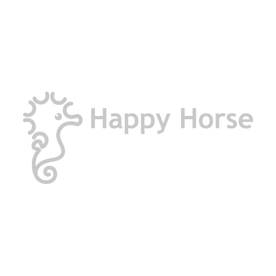 Happy Horse