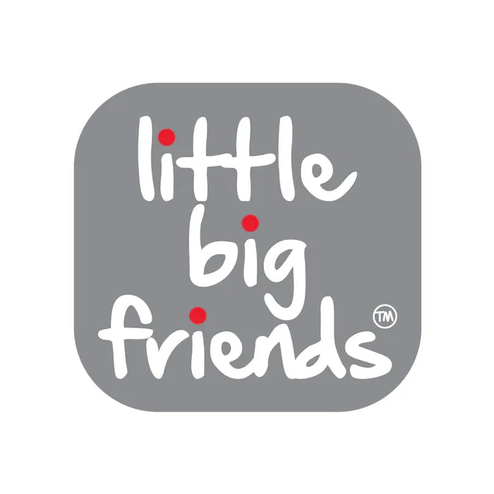 Little Big Friends