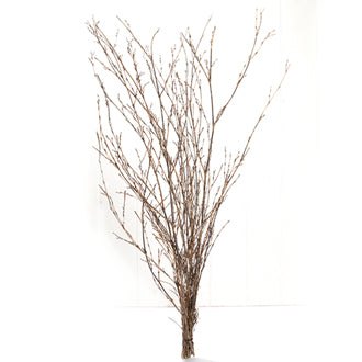 Fastelavnsris natur 70 cm