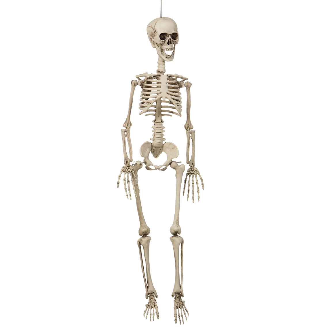 Halloween Hængende skelet 90 cm