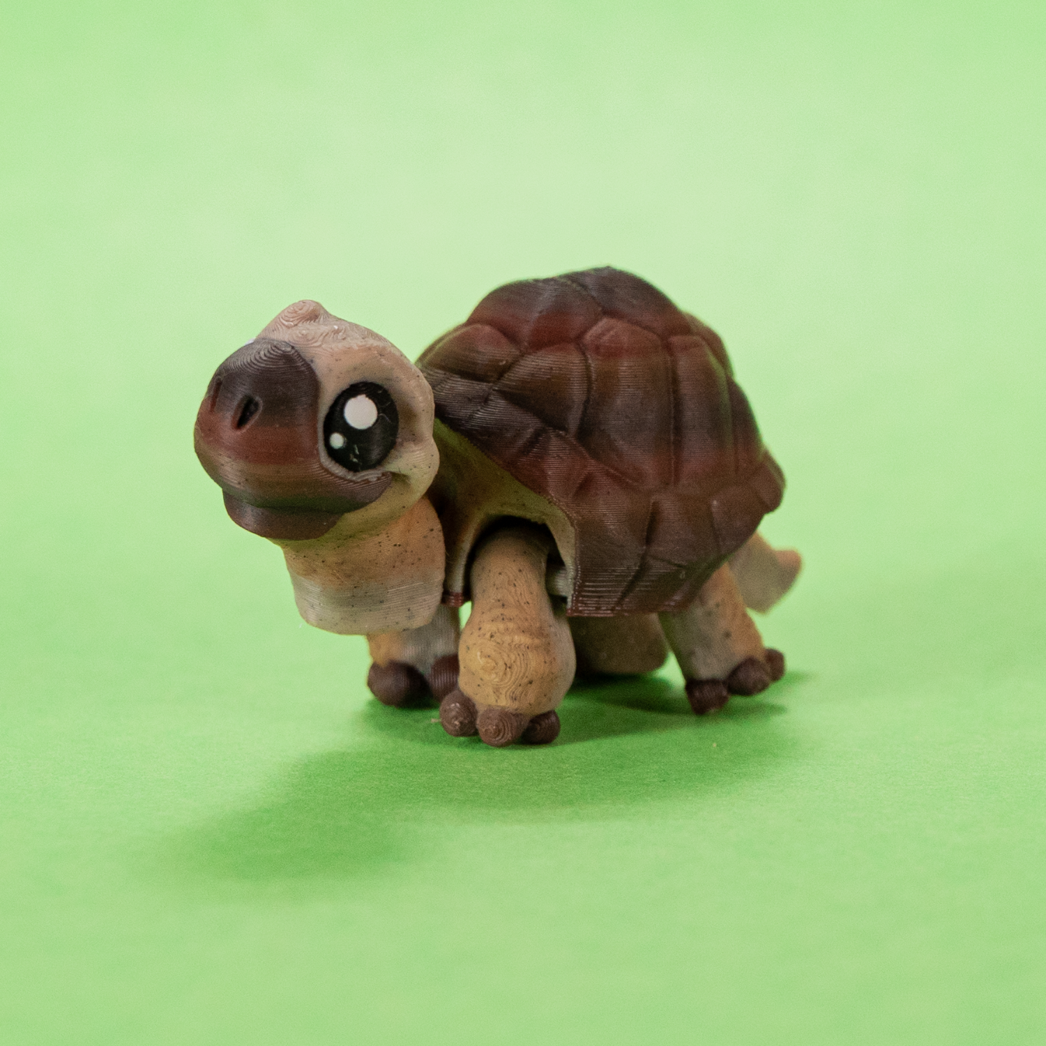 FidgetPals Skildpadde