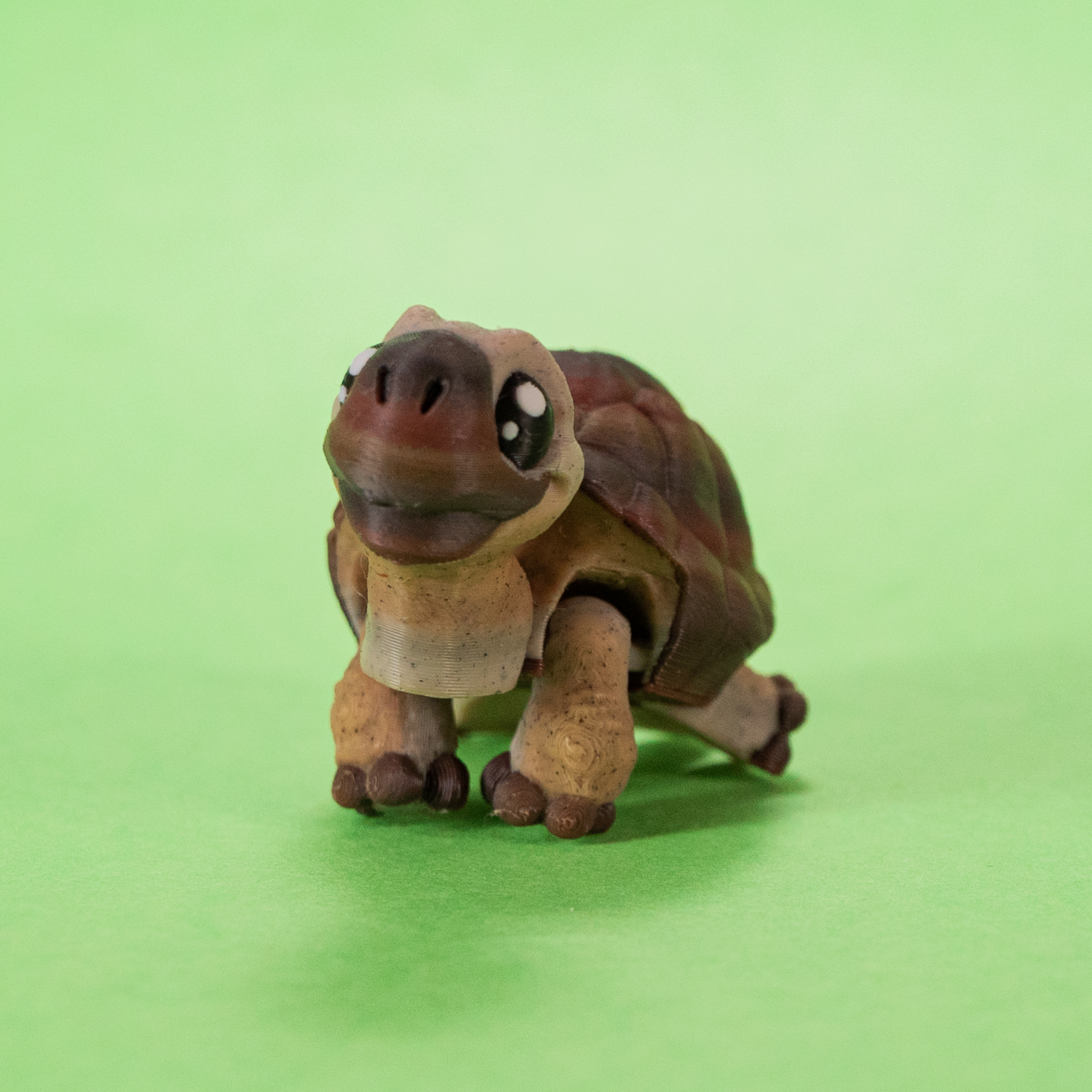 FidgetPals Skildpadde