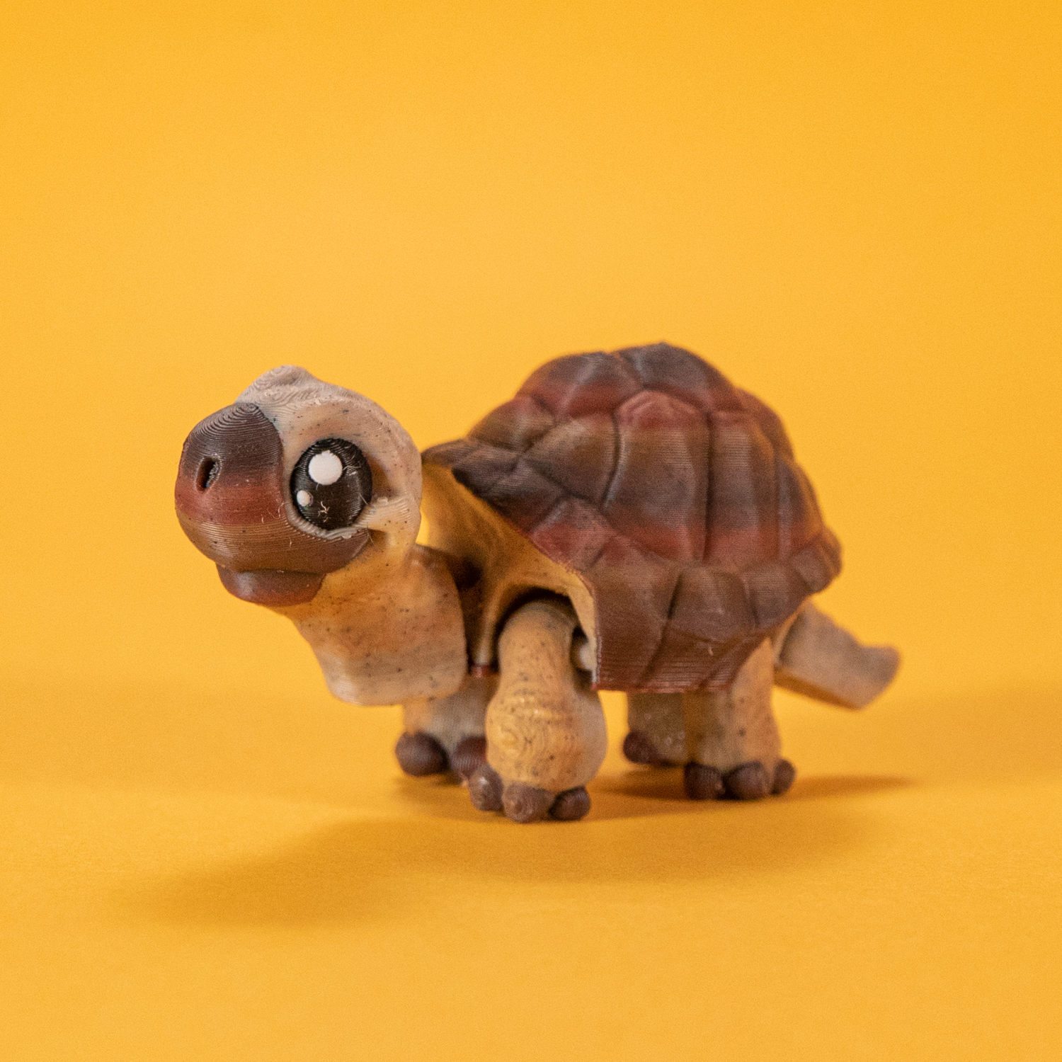 FidgetPals Skildpadde