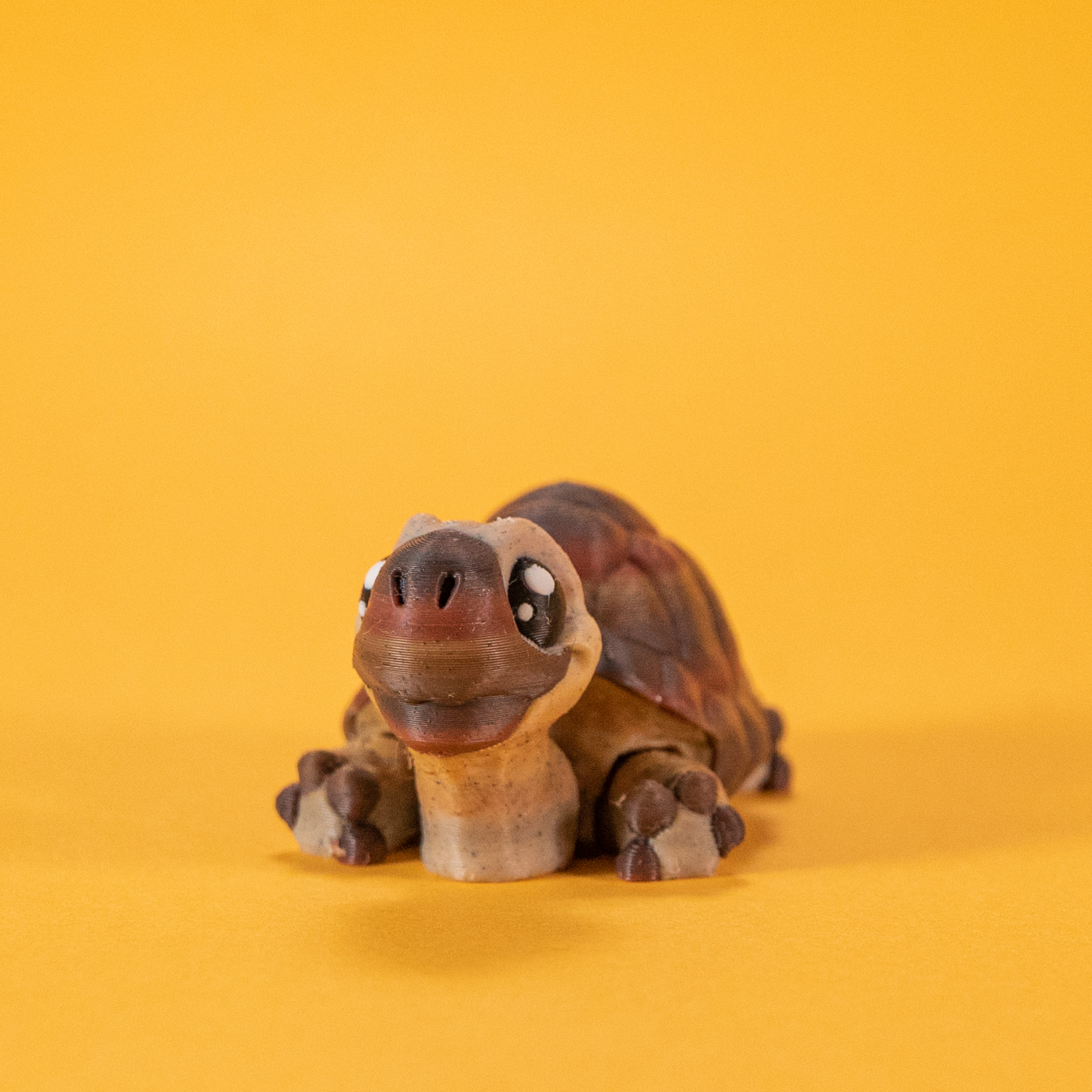 FidgetPals Skildpadde