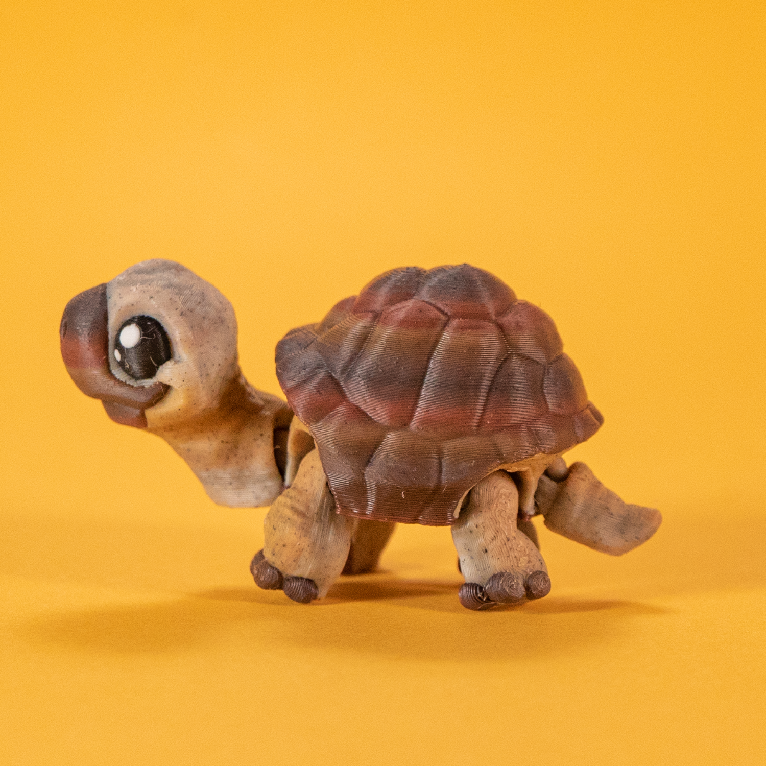 FidgetPals Skildpadde