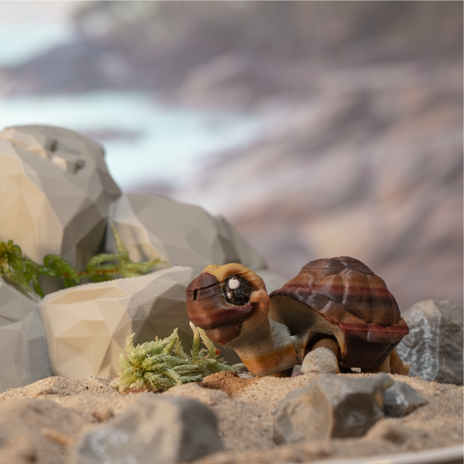 FidgetPals Skildpadde