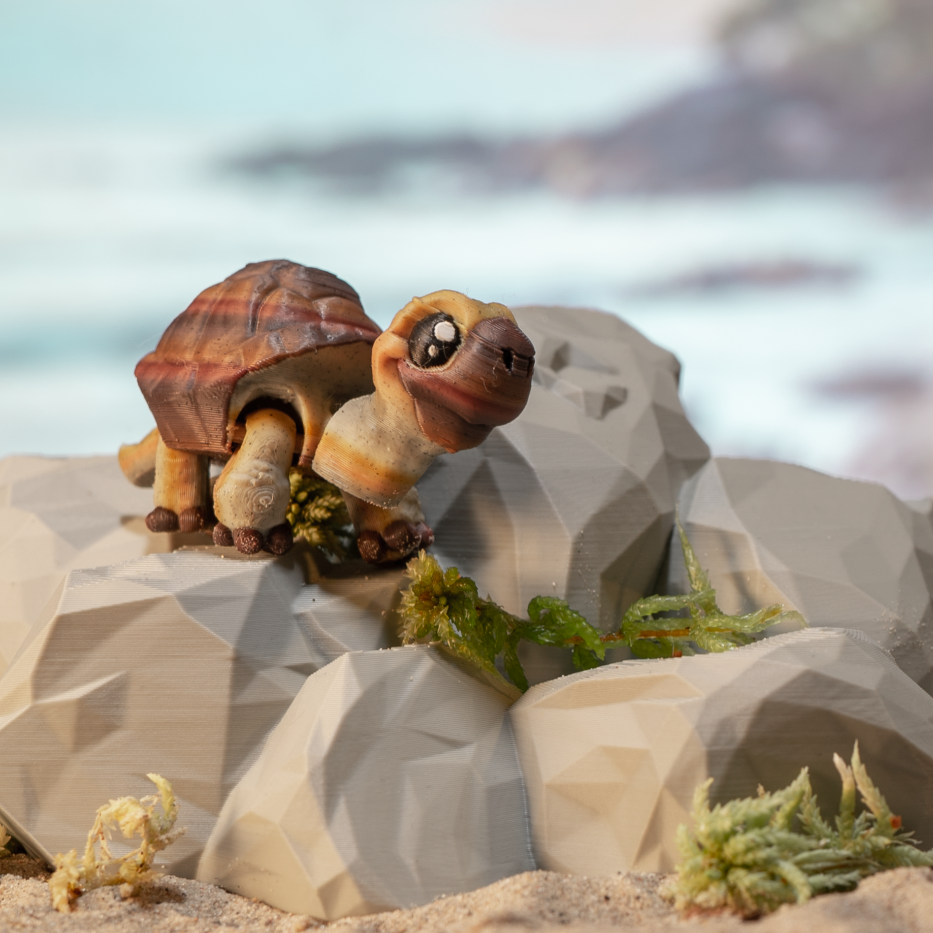 FidgetPals Skildpadde