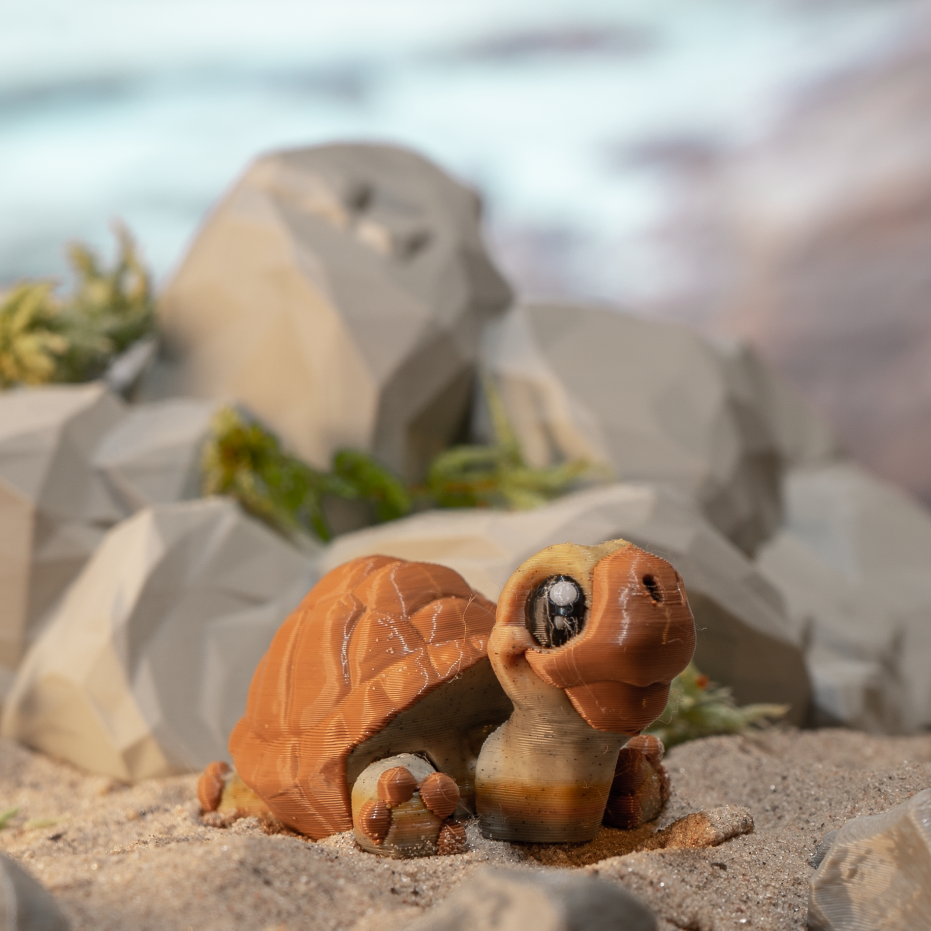 FidgetPals Skildpadde