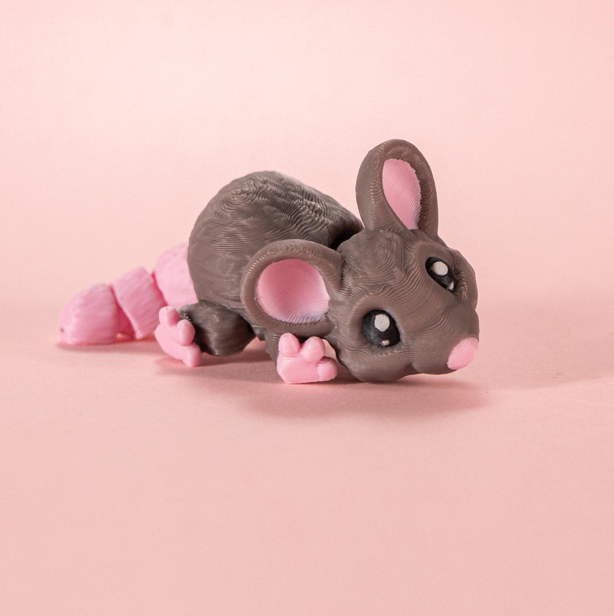 FidgetPals Husmus