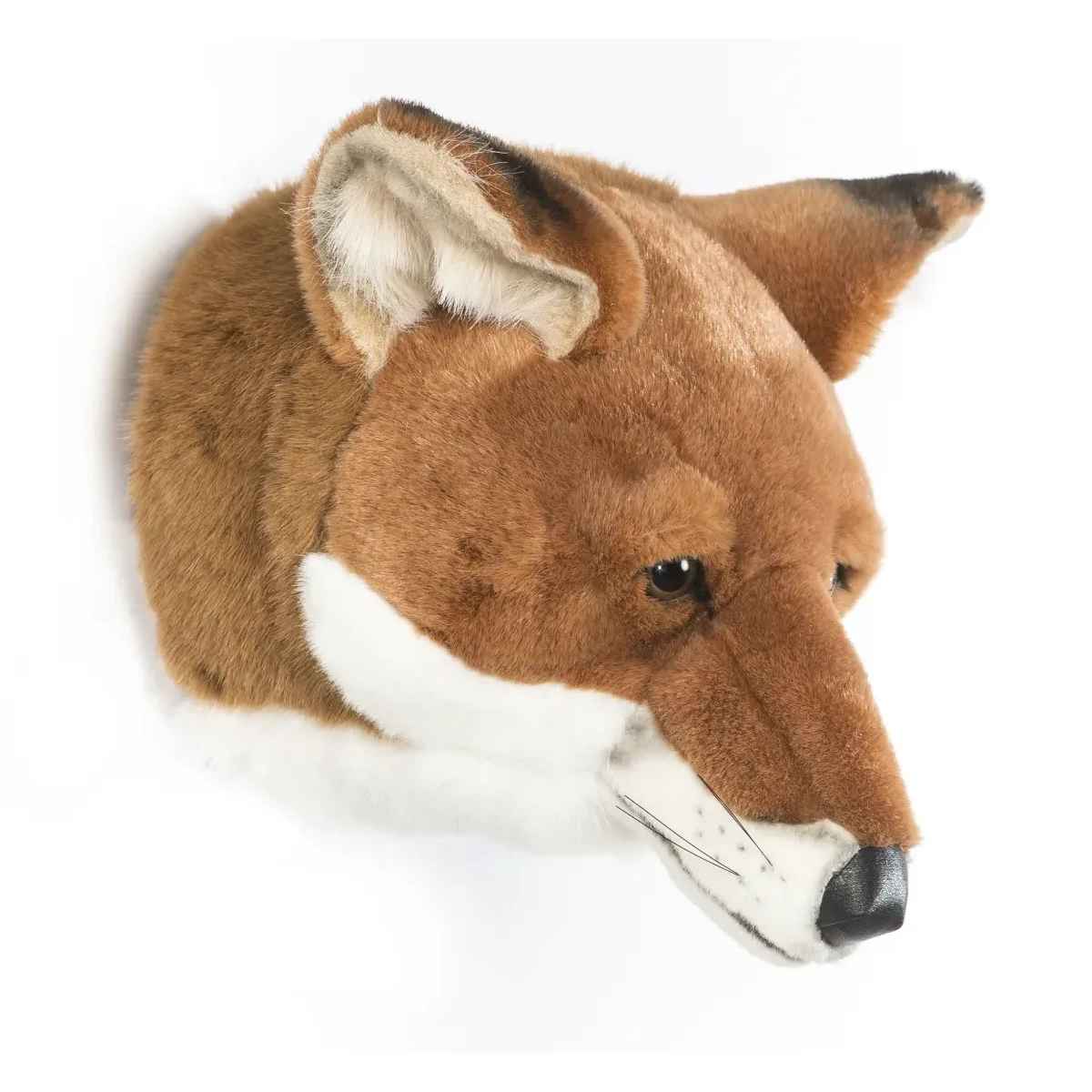 Brigbys Dyretrofæhoved, Ræv