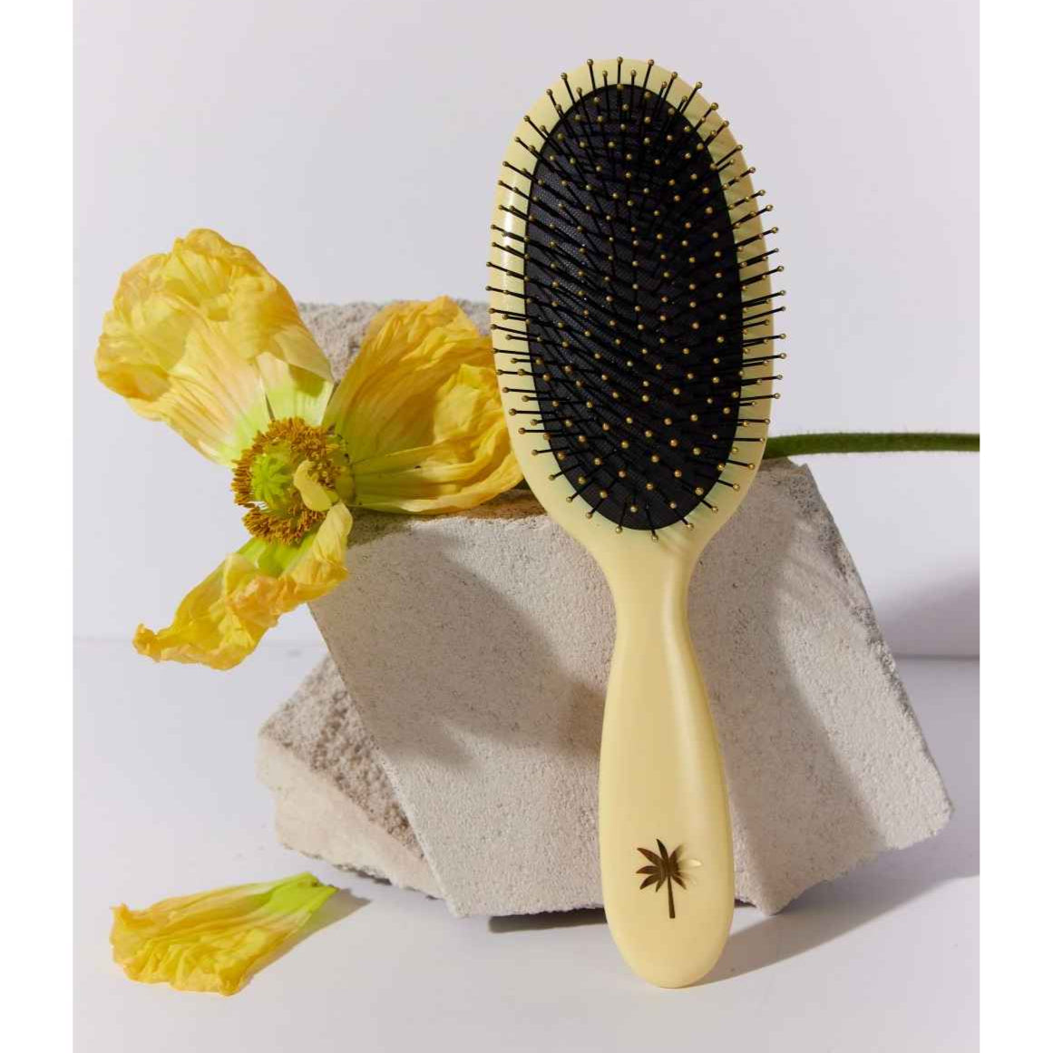 Fan Palm Wet Brush medium, Sunshine