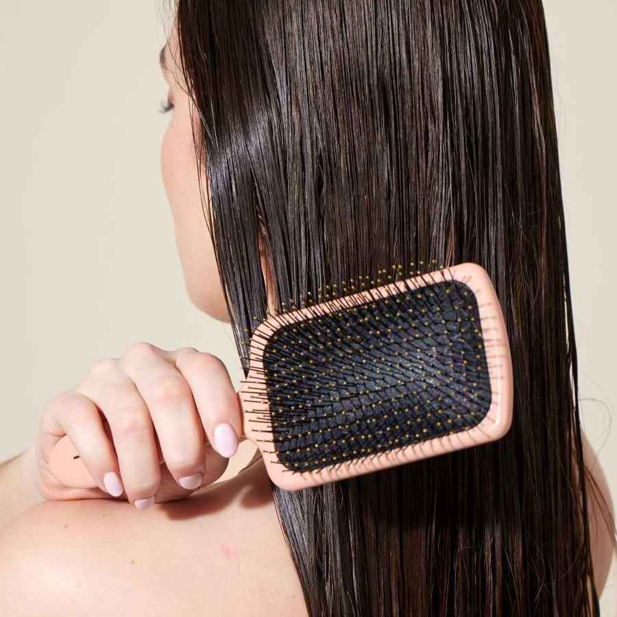 Fan Palm Wet Paddle Brush large, Bloom