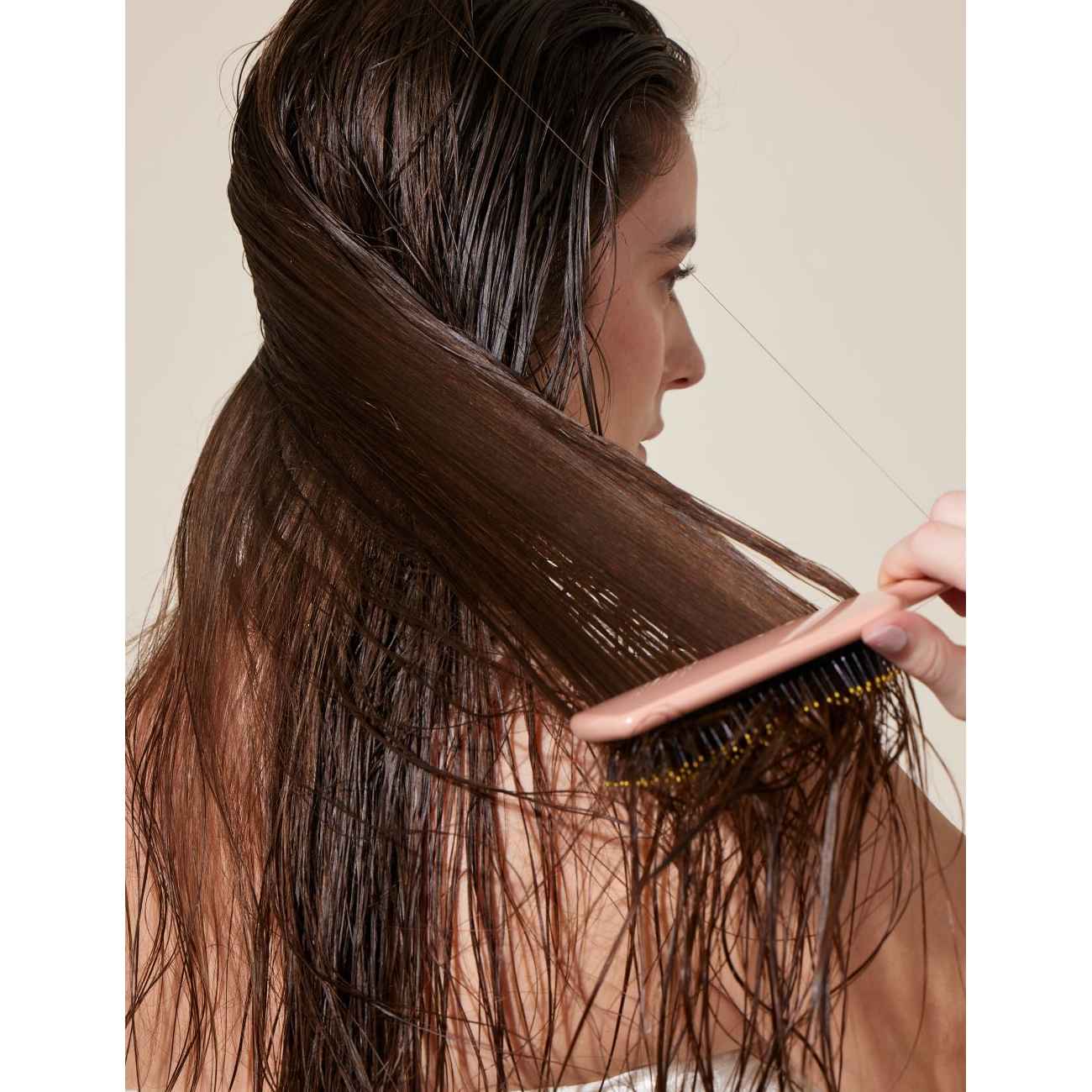 Fan Palm Wet Paddle Brush large, Bloom