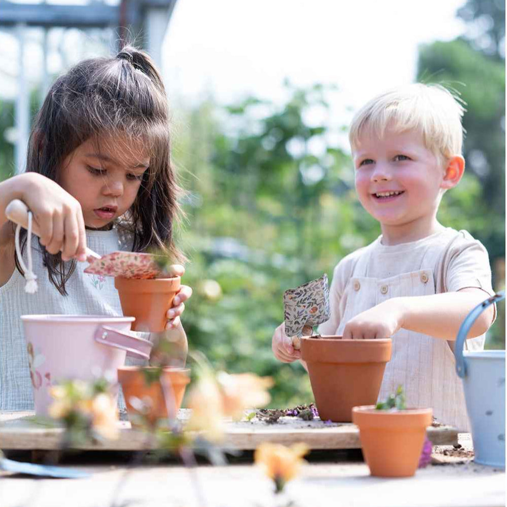 Little Dutch potte m. frø, Solsikke