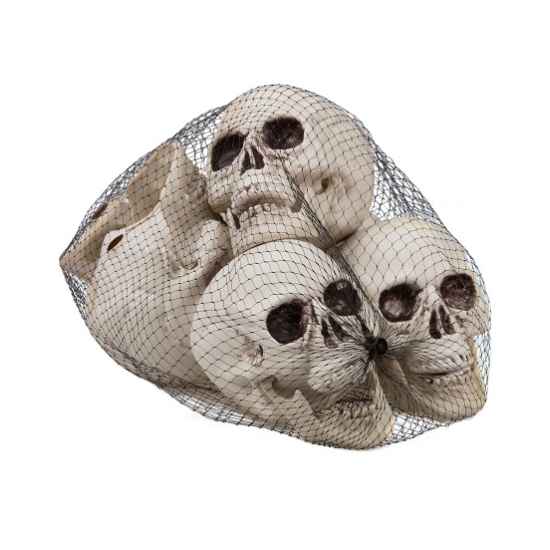 Halloween Kranium 6 stk.