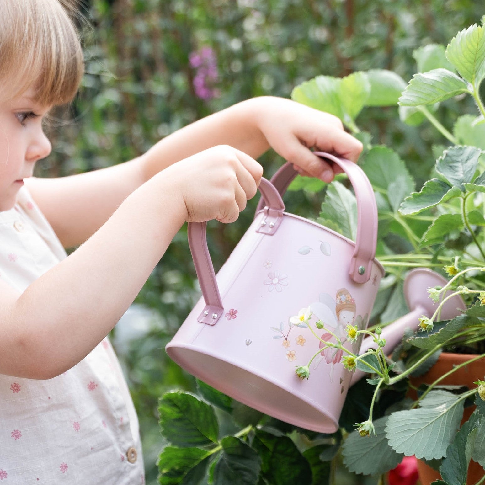 Little Dutch vandkande, Fairy Garden
