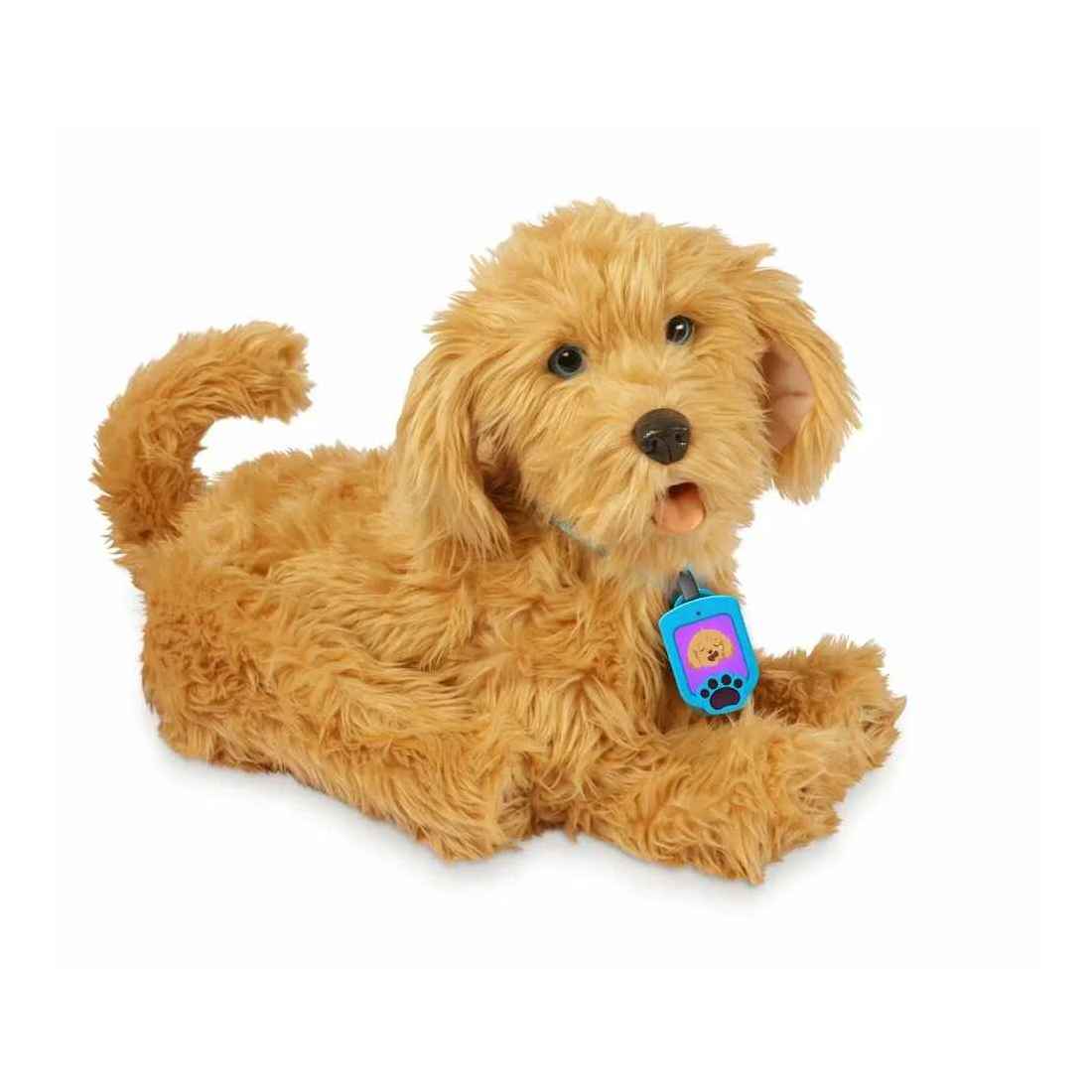 Moji Loveable Labradoodle