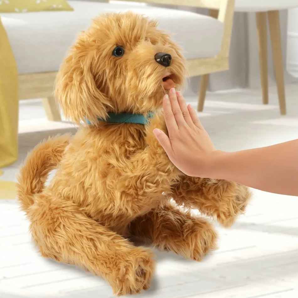 Moji Loveable Labradoodle