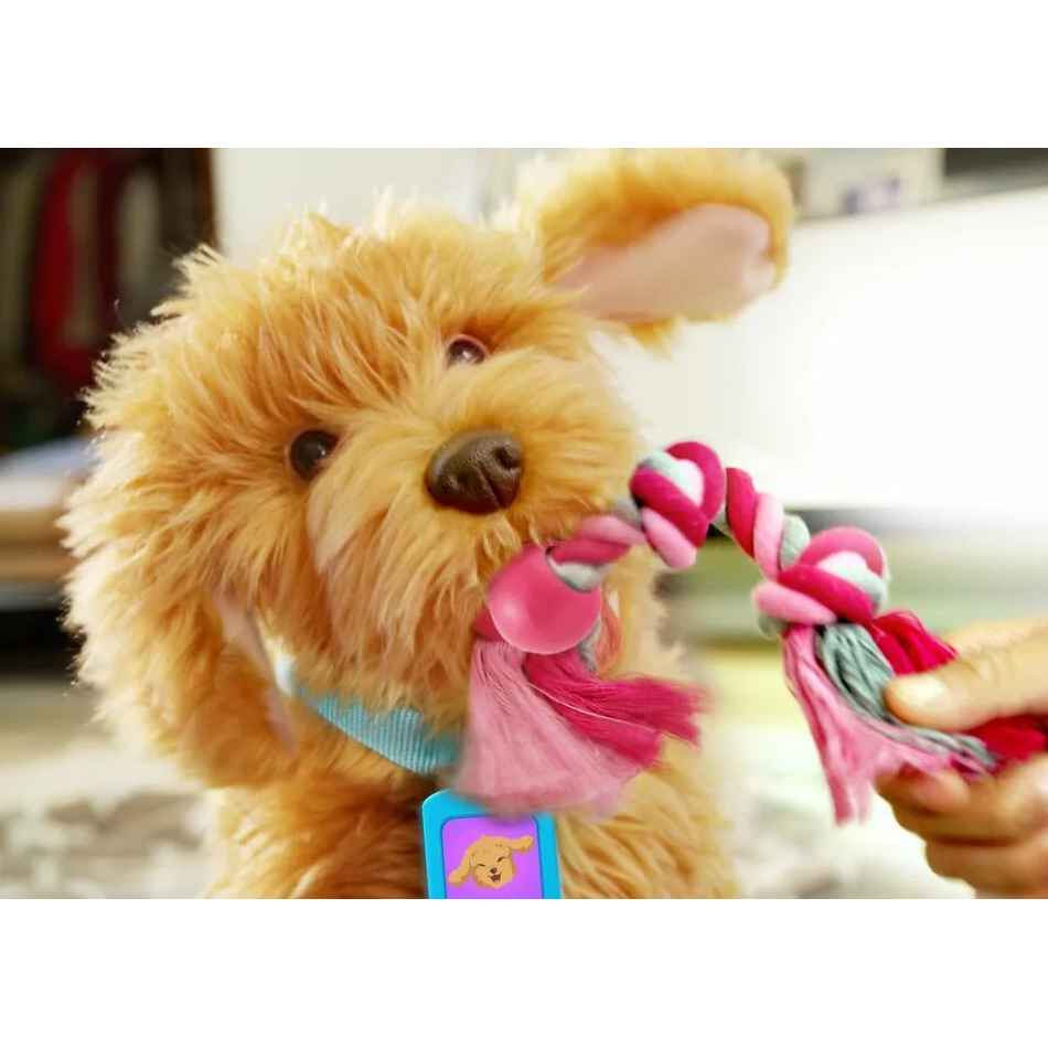 Moji Loveable Labradoodle