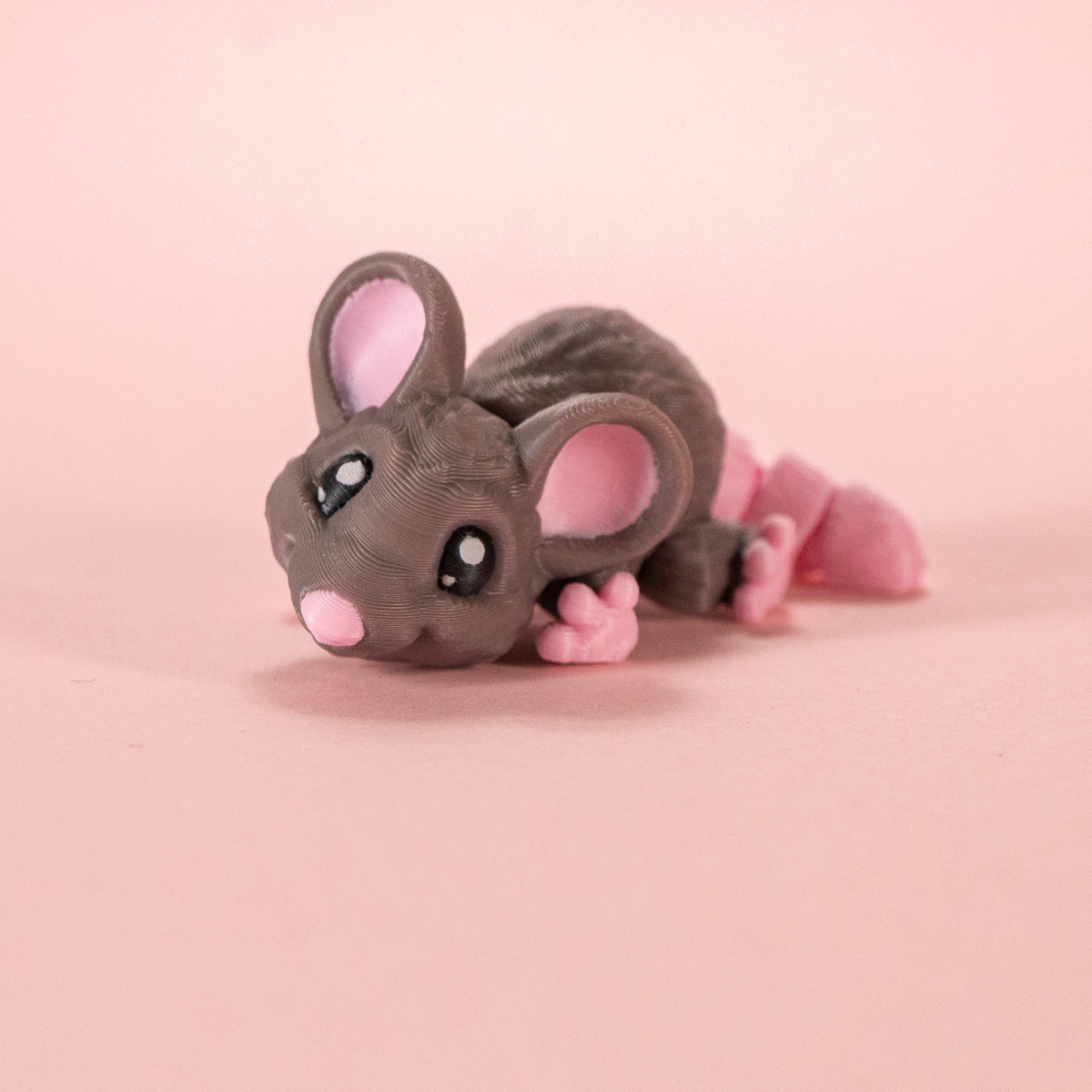 FidgetPals Husmus