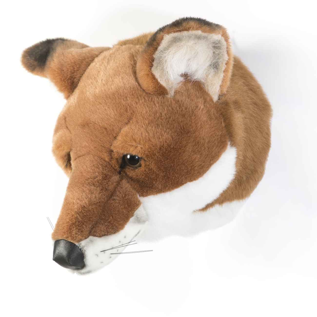 Brigbys Dyretrofæhoved, Ræv