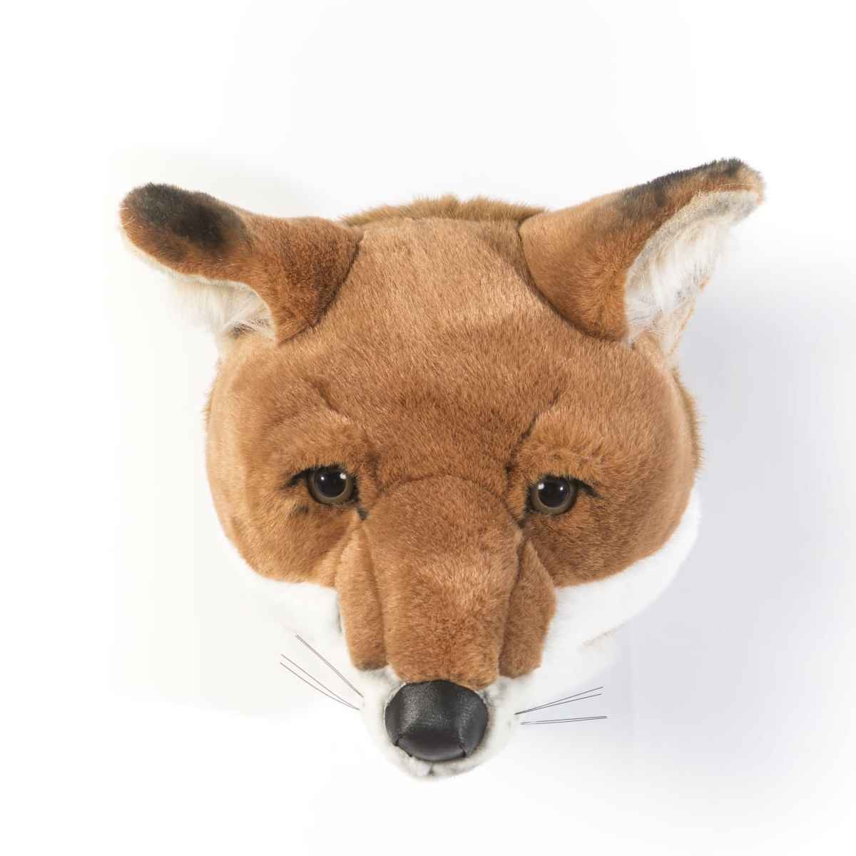 Brigbys Dyretrofæhoved, Ræv