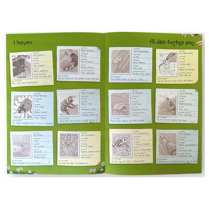 Naturens verden med klistermærker, Insekter og andre smådyr