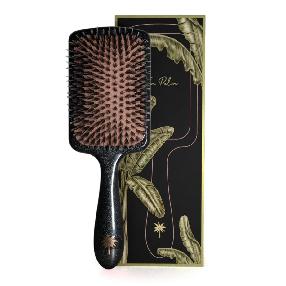 Fan Palm Paddle Brush large, Big Star