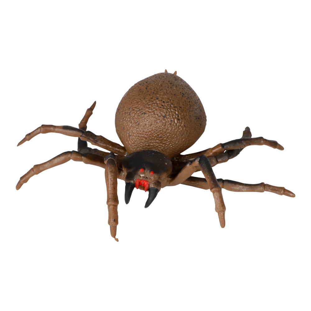 Halloween Realistisk edderkop brun