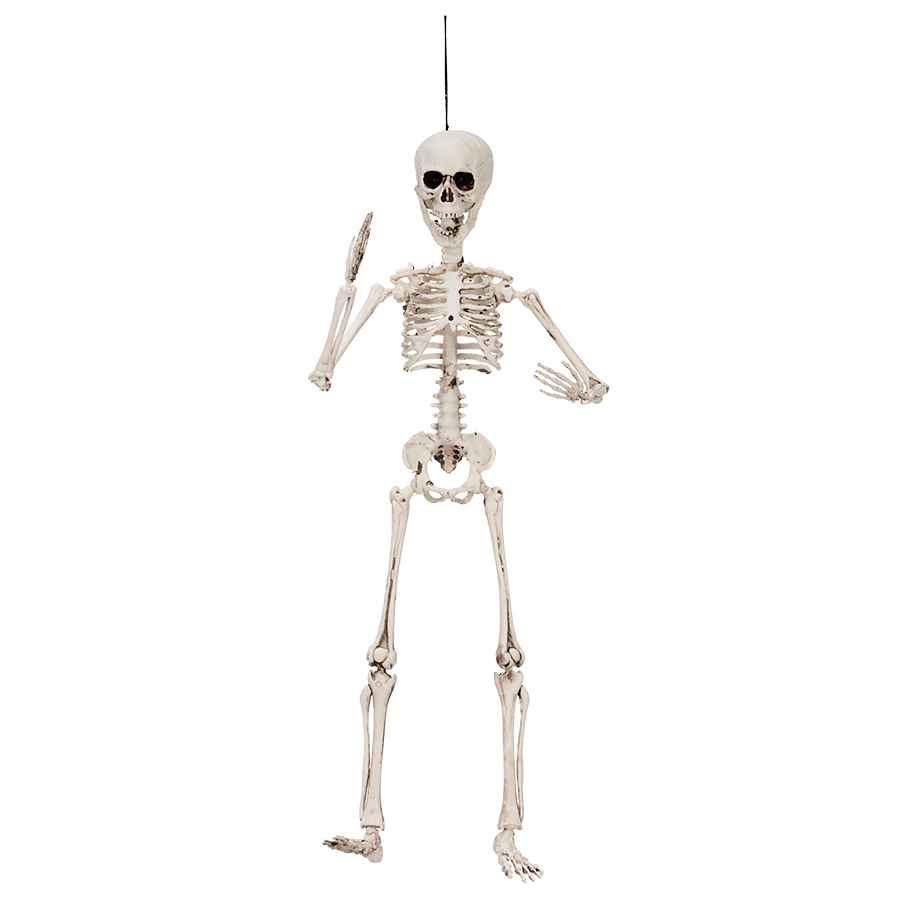 Halloween Skelet 50 cm