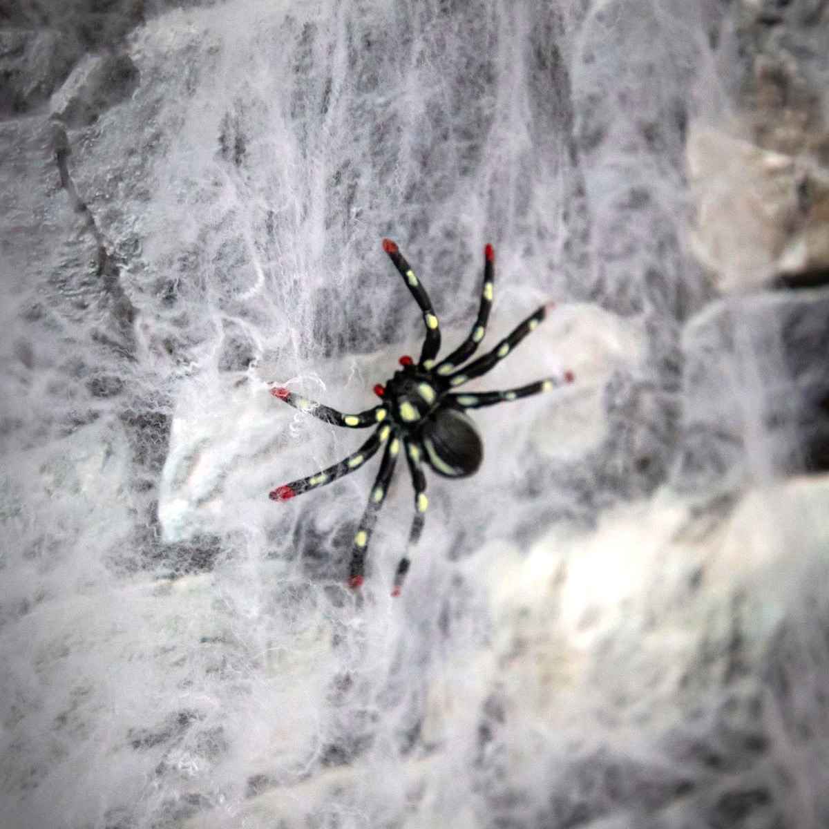 Halloween Dekokit med edderkopper