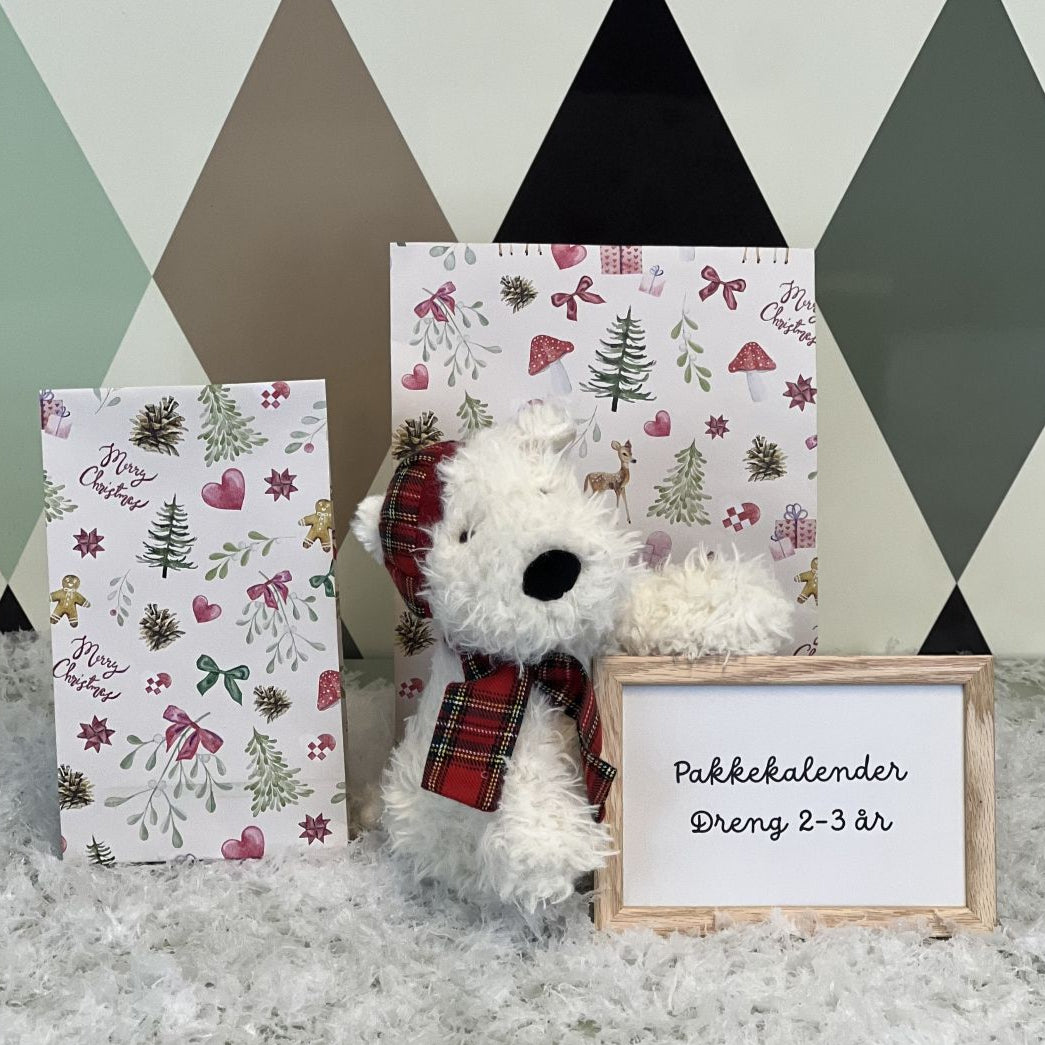 Leg & idés Pakkekalender 2-3 år, Dreng