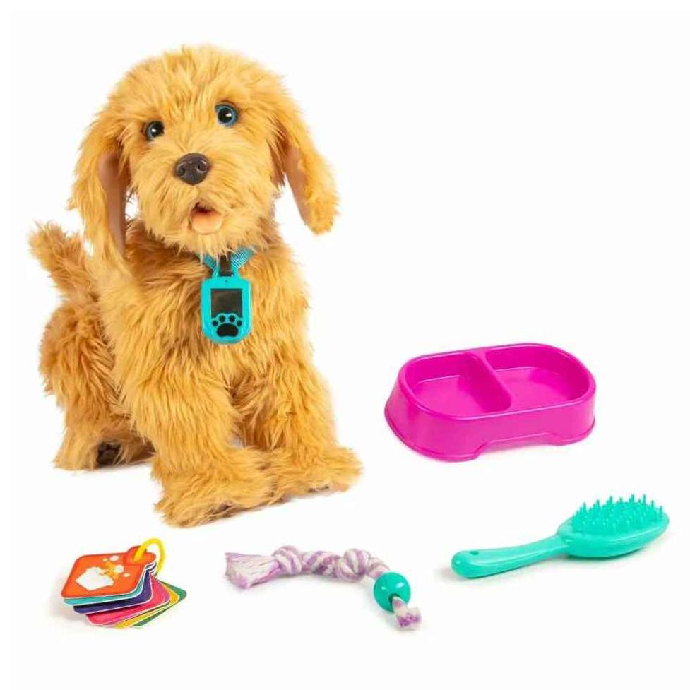 Moji Loveable Labradoodle