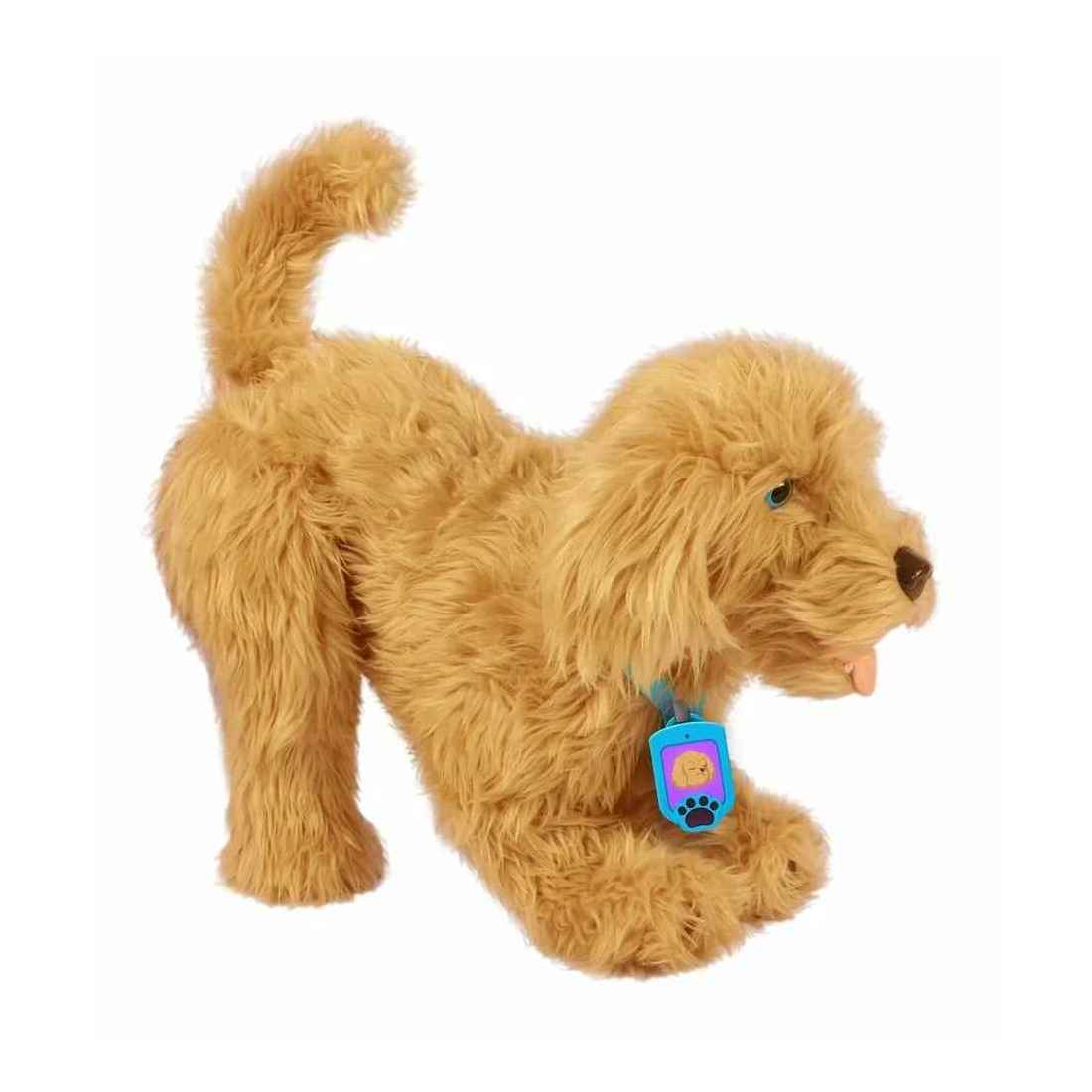 Moji Loveable Labradoodle