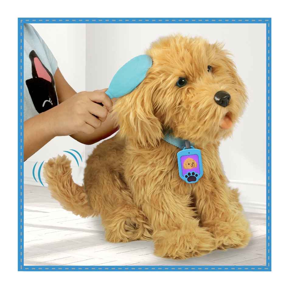 Moji Loveable Labradoodle