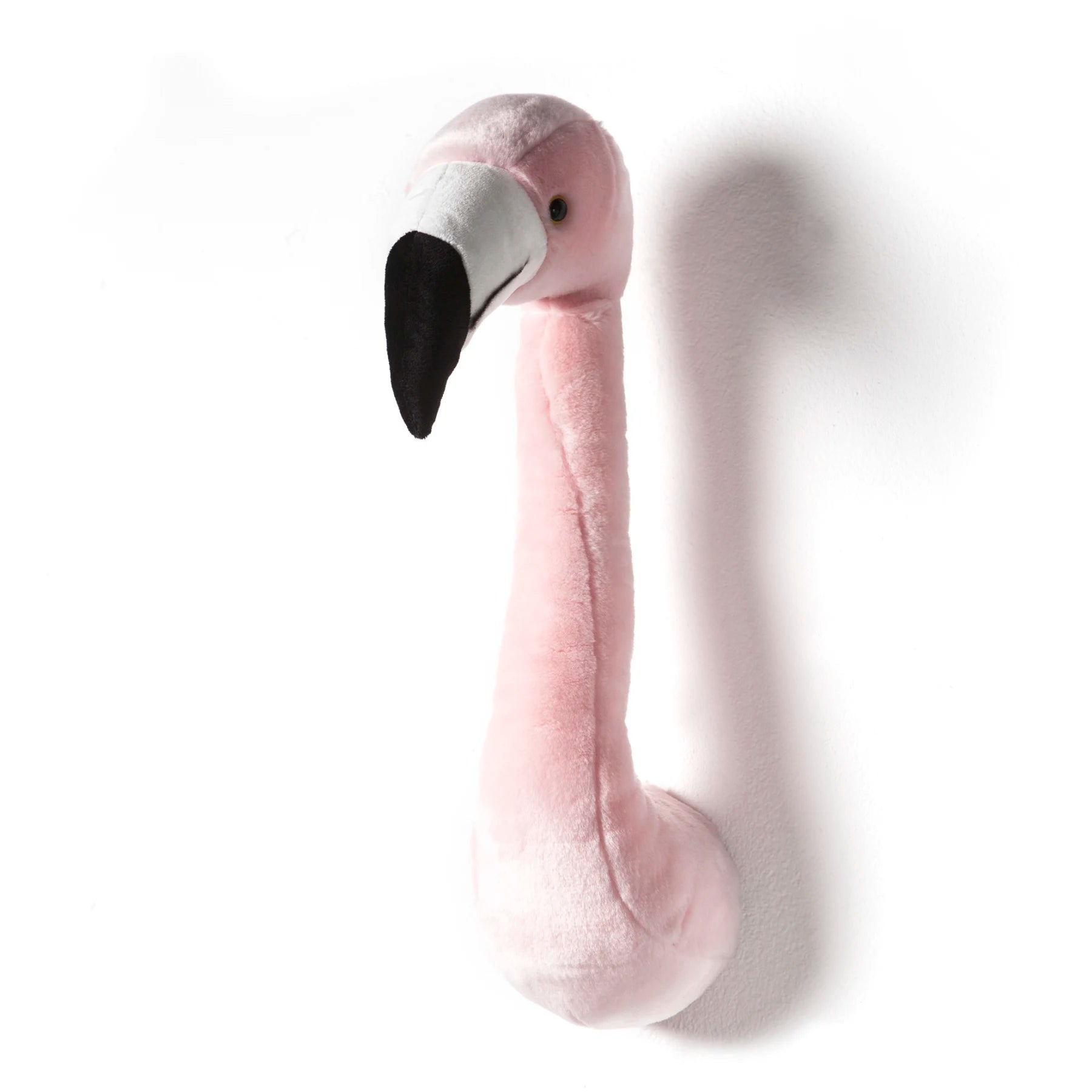Brigbys Dyretrofæhoved, Flamingo