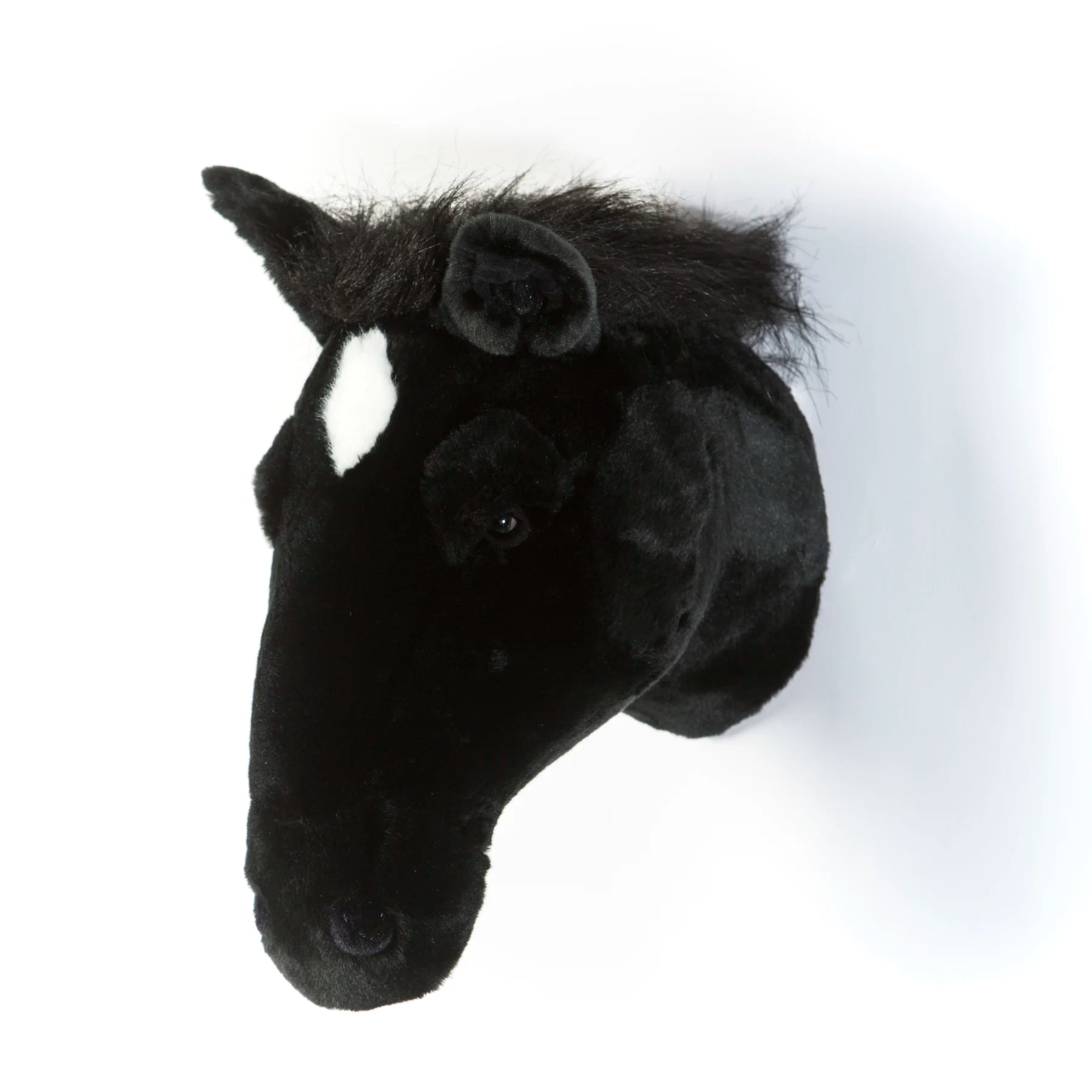 Brigbys Dyretrofæhoved, Hest